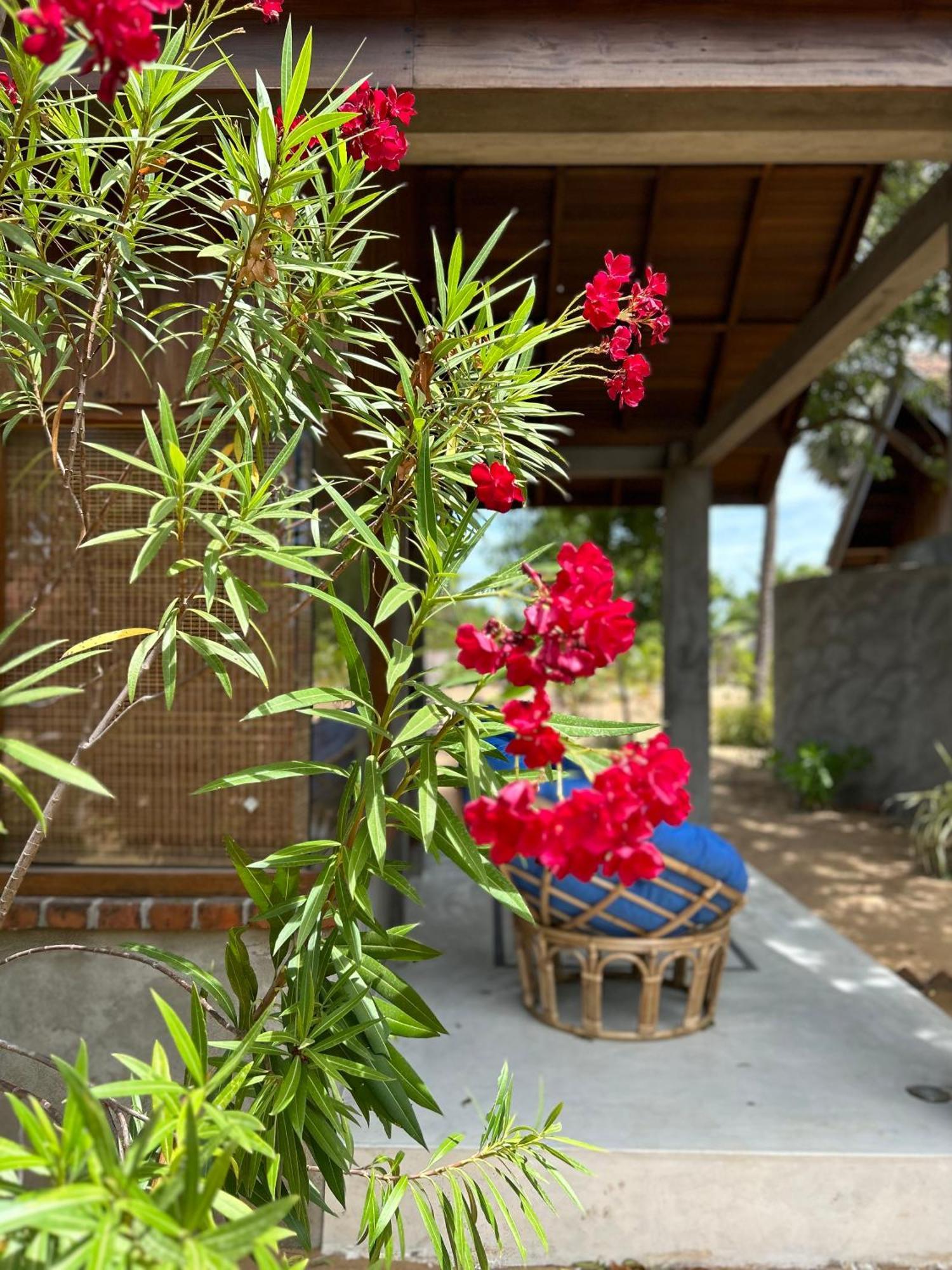 Arasi Resort Kalpitiya Exterior foto